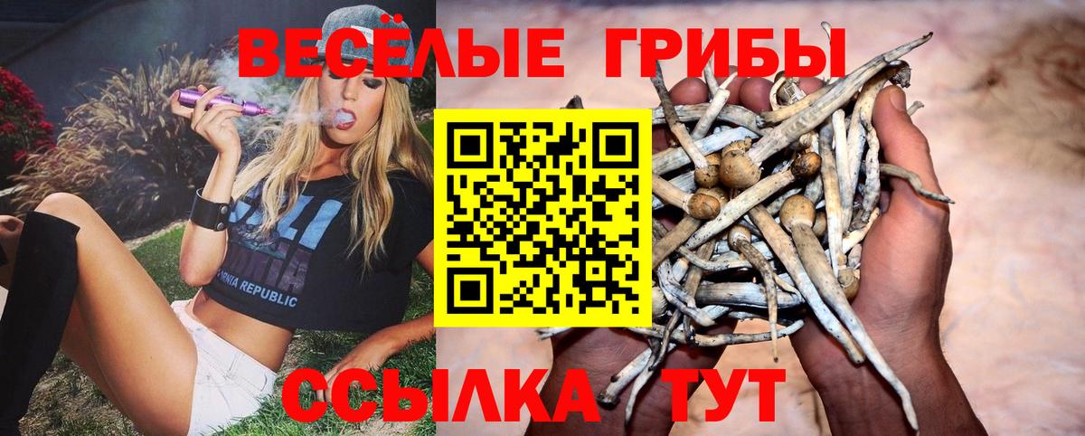 Галлюциногенные грибы Psilocybine cubensis  Вход с VPN  цена наркотик  Тутаев 