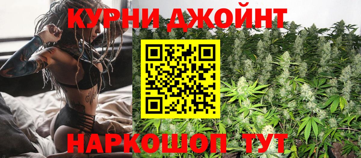 Бошки Шишки план Тутаев